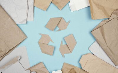 The Importance of Recycling Boxes and Paper – Save Money & Protect the Environment